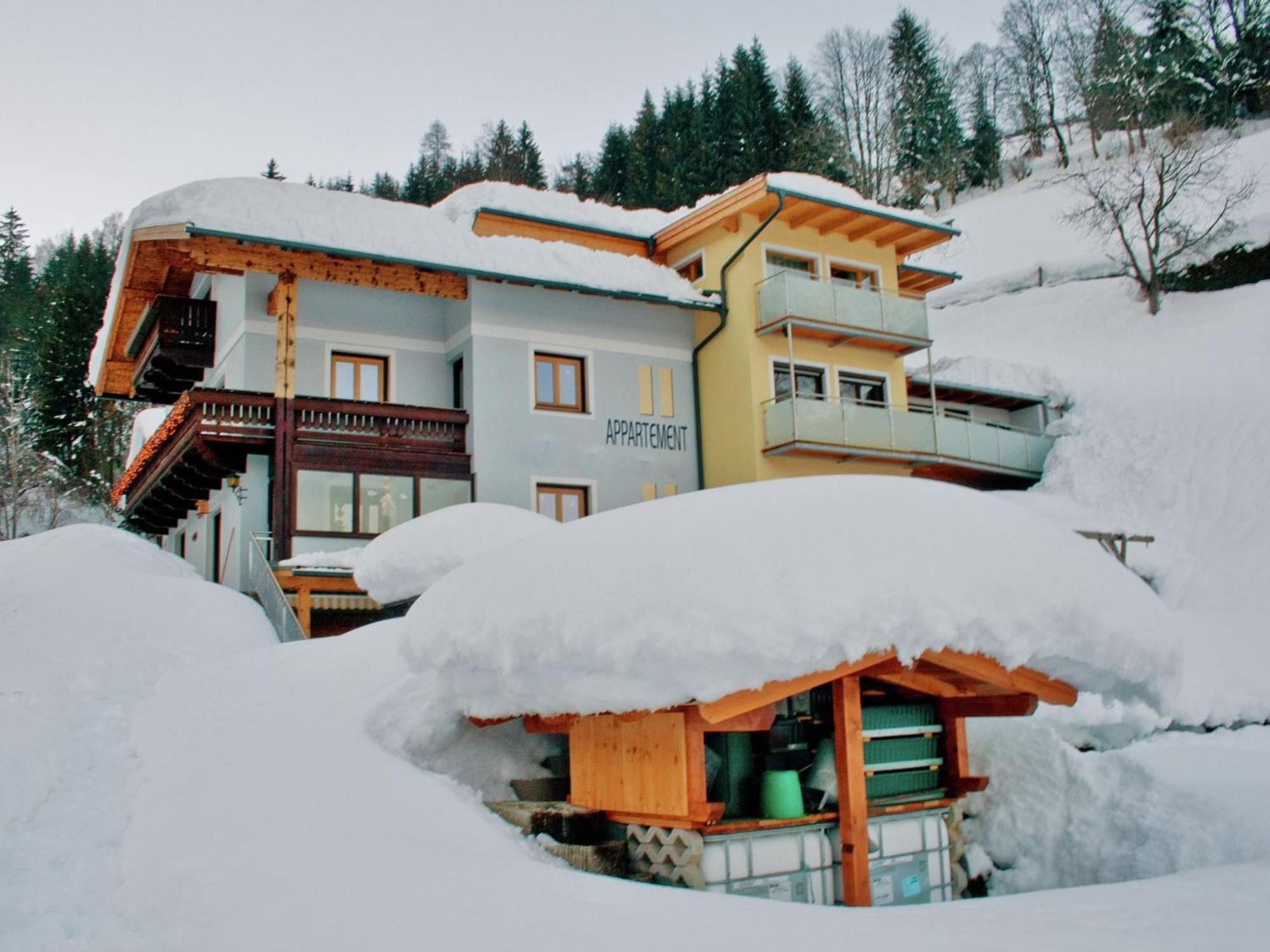 Beautiful Apartment In Zell Am See Near Ski Area المظهر الخارجي الصورة